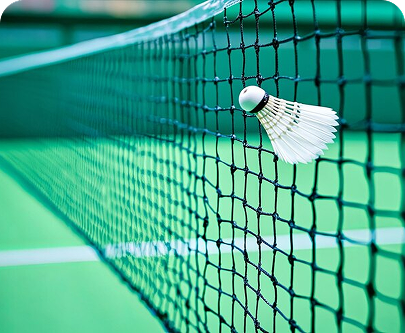 Badminton Net